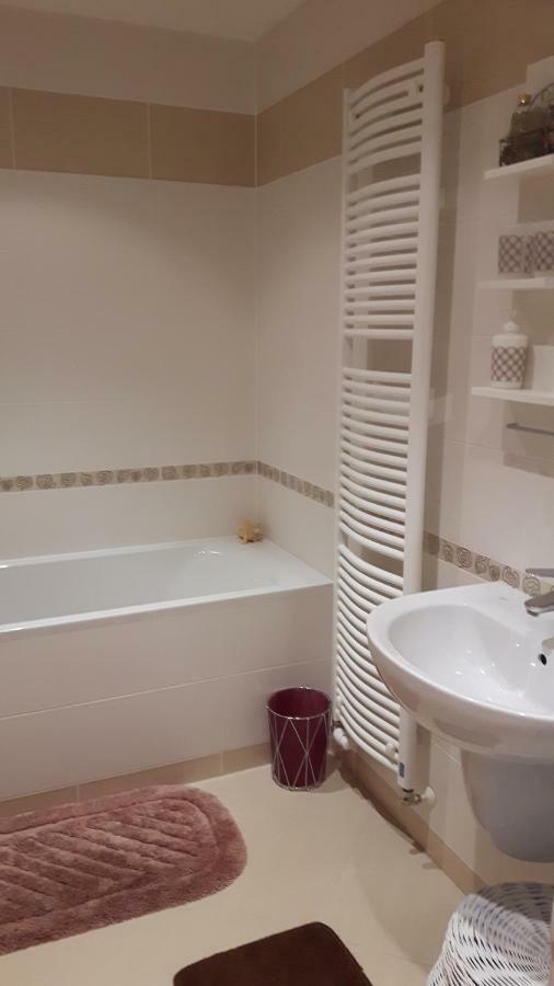 Prostorny 3 Pokojovy Apartman S Dvema Terasami براغ المظهر الخارجي الصورة